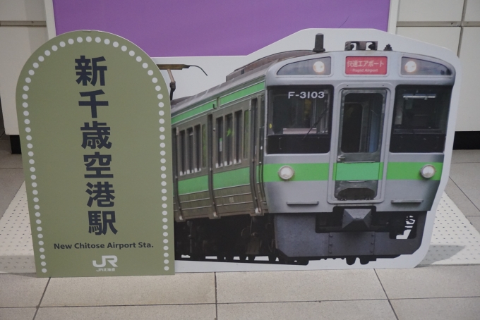 鉄道乗車記録の写真:駅舎・駅施設、様子(2)        「新千歳空港駅」