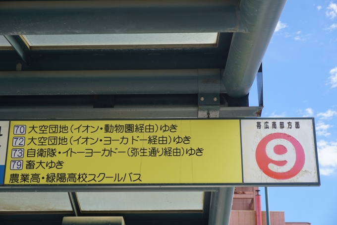 鉄道乗車記録の写真:旅の思い出(19)        「帯広駅前バス9番のりば」