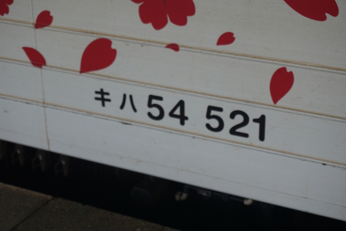 鉄道乗車記録の写真:車両銘板(5)        「地球探索鉄道花咲線ラッピングトレイン、JR北海道 キハ54 521」