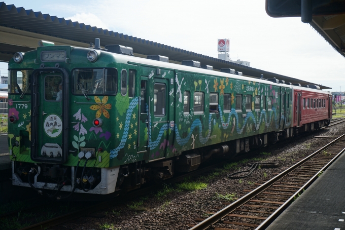 鉄道乗車記録の写真:乗車した列車(外観)(6)        「増結列車「森の恵み」号、
JR北海道 キハ40 1779」