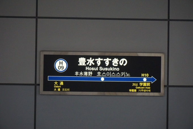 鉄道乗車記録の写真:駅名看板(7)        「豊水すすきの駅」