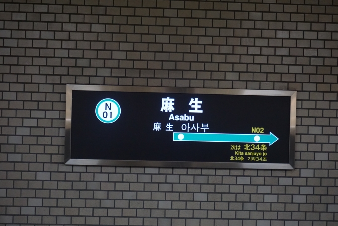 鉄道乗車記録の写真:駅名看板(13)        「南北線麻生駅」