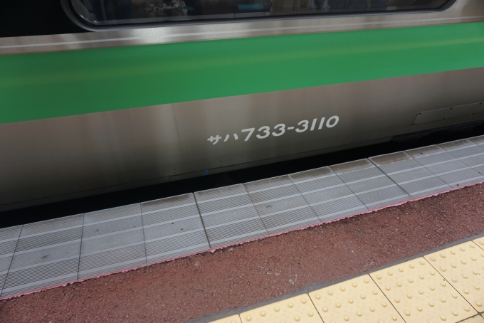 鉄道乗車記録の写真:車両銘板(4)        「JR北海道 サハ733-3110」