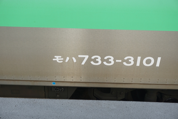 鉄道乗車記録の写真:車両銘板(6)     「JR北海道 モハ733-3101」