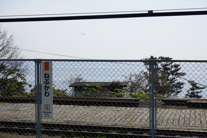 鉄道乗車記録の写真:車窓・風景(3)        「根府川駅」