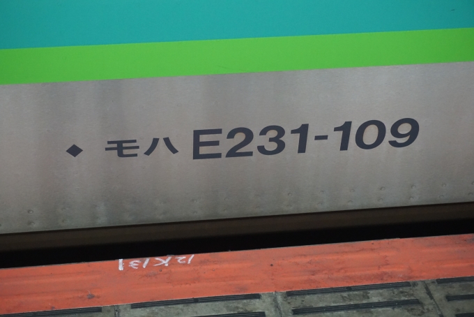 鉄道乗車記録の写真:車両銘板(3)        「JR東日本 モハE231-109」