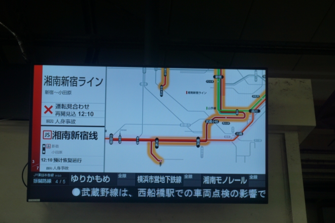 鉄道乗車記録の写真:駅舎・駅施設、様子(5)        「湘南新宿ライン運転見合わせ」