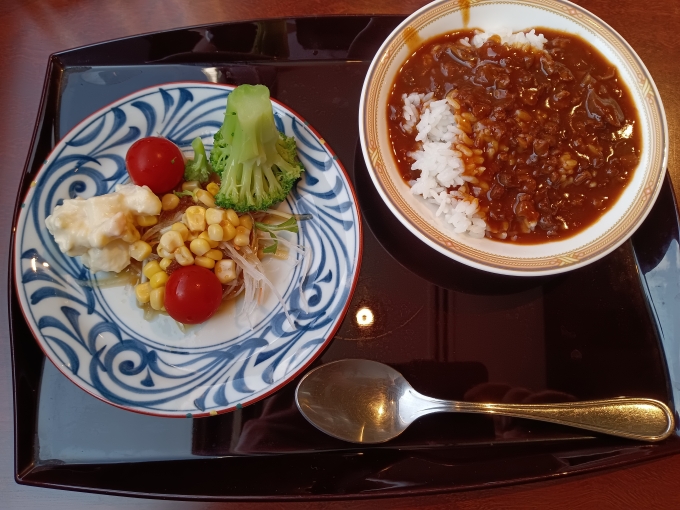 鉄道乗車記録の写真:旅の思い出(14)        「日本料理さくら和食ランチブッフェその2」