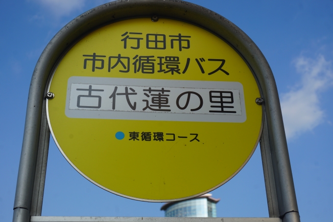 鉄道乗車記録の写真:旅の思い出(19)        「行田市市内循環バス古代蓮の里バス停」