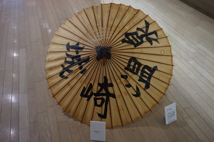 鉄道乗車記録の写真:旅の思い出(13)        「城崎文芸館の傘」