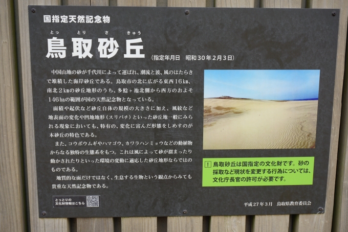 鉄道乗車記録の写真:旅の思い出(13)        「鳥取砂丘、国指定天然記念物」