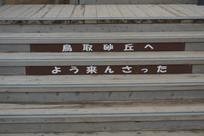 鉄道乗車記録の写真:旅の思い出(16)        「鳥取砂丘よう来んさった」