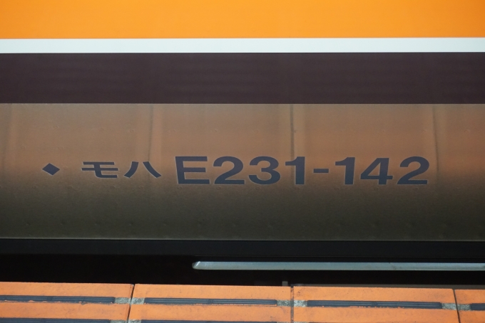 鉄道乗車記録の写真:車両銘板(2)        「JR東日本 モハE231-142」