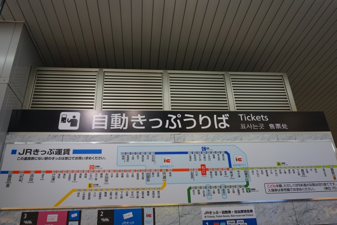 鉄道乗車記録の写真:駅舎・駅施設、様子(3)        「松江駅きっぷ運賃」