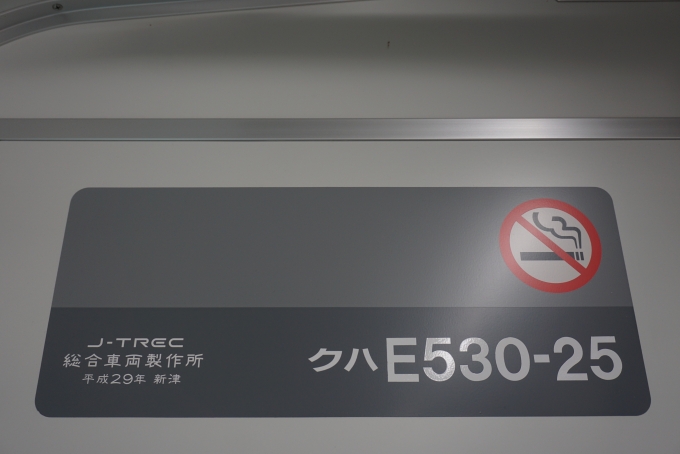 鉄道乗車記録の写真:車両銘板(3)        「JR東日本 クハE530-25」