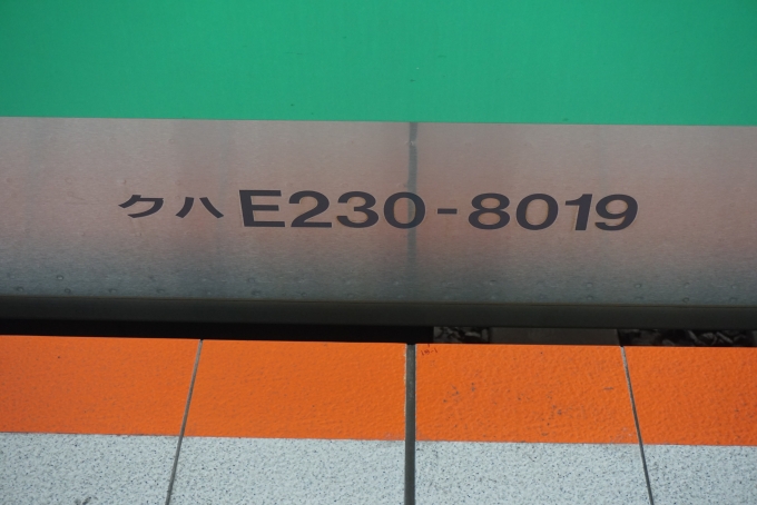 鉄道乗車記録の写真:車両銘板(3)        「JR東日本 クハE230-8019」
