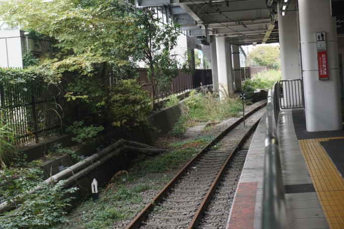 鉄道乗車記録の写真:駅舎・駅施設、様子(2)        「南武線川崎駅車止め」