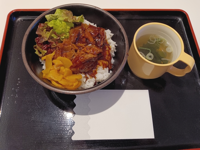 鉄道乗車記録の写真:旅の思い出(25)        「東京湾夜景クルーズ、展望レストランで注文したあぶり牛カブリ丼」