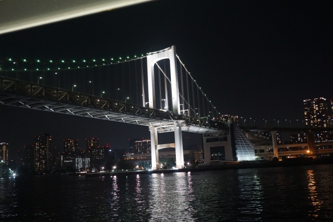 鉄道乗車記録の写真:旅の思い出(30)        「東京湾夜景クルーズ船から撮影した風景その3」