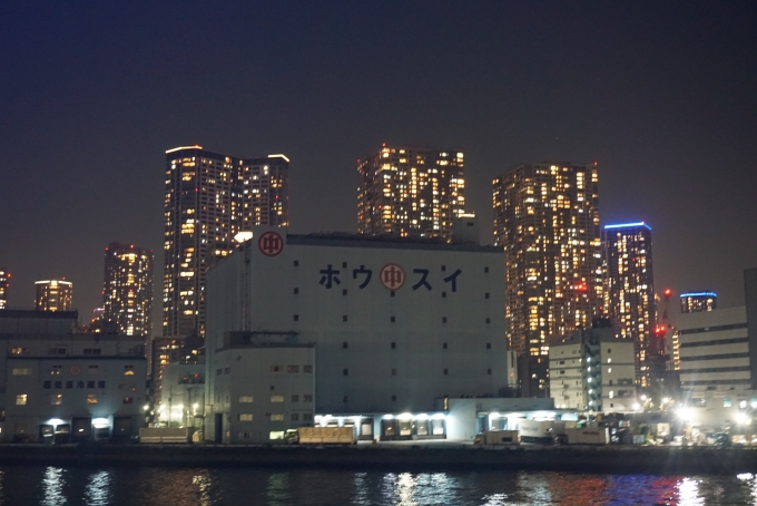 鉄道乗車記録の写真:旅の思い出(32)        「東京湾夜景クルーズ船から撮影した風景その5」