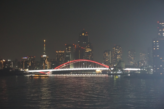 鉄道乗車記録の写真:旅の思い出(33)        「東京湾夜景クルーズ船から撮影した風景その6」