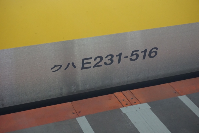 鉄道乗車記録の写真:車両銘板(5)        「JR東日本 クハE231-516」