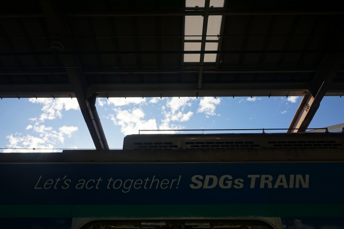 鉄道乗車記録の写真:乗車した列車(外観)(6)        「SDGsTRAIN」