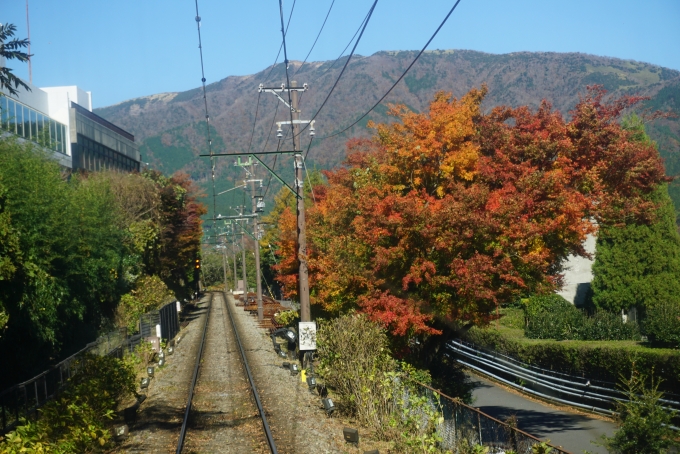 鉄道乗車記録の写真:車窓・風景(14)        「小涌谷駅→彫刻の森駅間の風景」