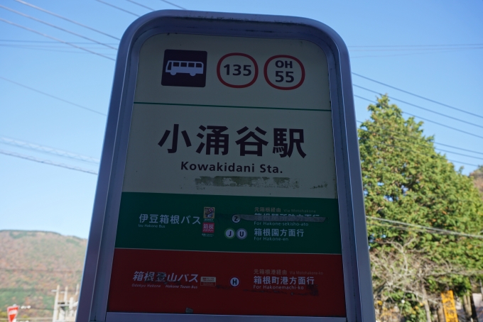 鉄道乗車記録の写真:旅の思い出(9)        「小涌谷駅バス停」