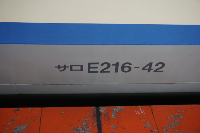 鉄道乗車記録の写真:車両銘板(11)        「JR東日本 サロE216-42」
