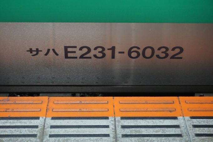 鉄道乗車記録の写真:車両銘板(3)        「JR東日本 サハE231-6032」