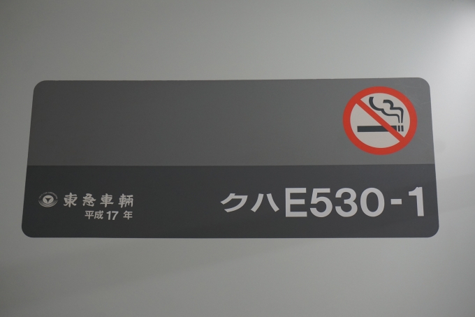 鉄道乗車記録の写真:車両銘板(3)        「JR東日本 クハE530-1」