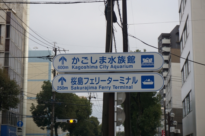 鉄道乗車記録の写真:旅の思い出(3)        「桜島フェリーターミナル250m」