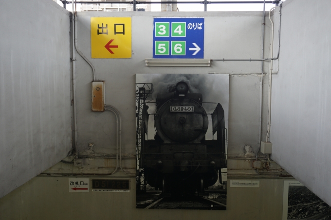 鉄道乗車記録の写真:駅舎・駅施設、様子(33)        「D51250の写真」