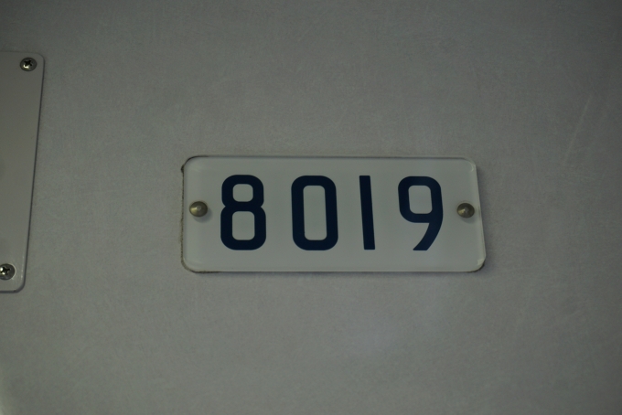 鉄道乗車記録の写真:車両銘板(3)        「東京メトロ 8019」