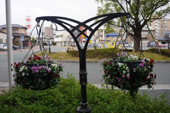 鉄道乗車記録の写真:駅舎・駅施設、様子(24)        「花畑駅前に飾っている花」