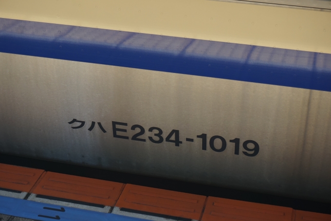 鉄道乗車記録の写真:車両銘板(5)        「JR東日本 クハE234-1019」