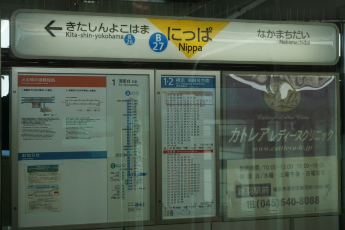 鉄道乗車記録の写真:駅名看板(4)        「ブルーライン新羽駅」