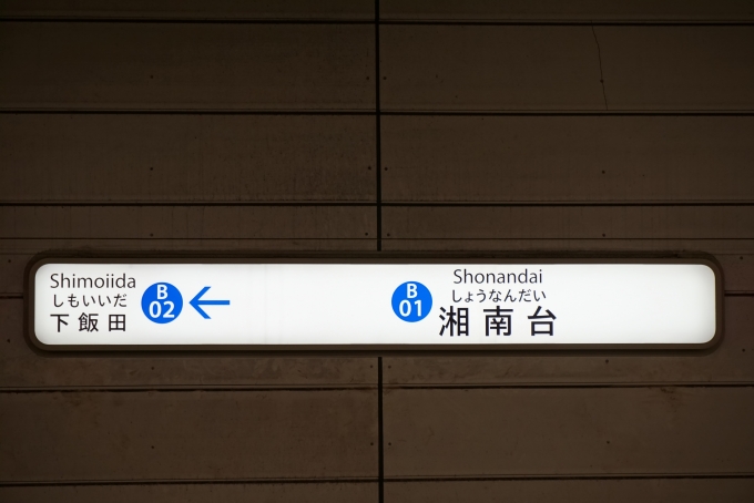 鉄道乗車記録の写真:駅名看板(5)        「ブルーライン湘南台駅」