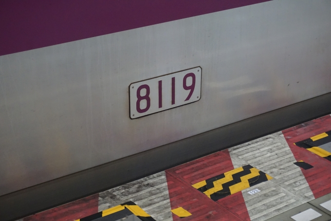 鉄道乗車記録の写真:車両銘板(3)        「東京メトロ 8119」