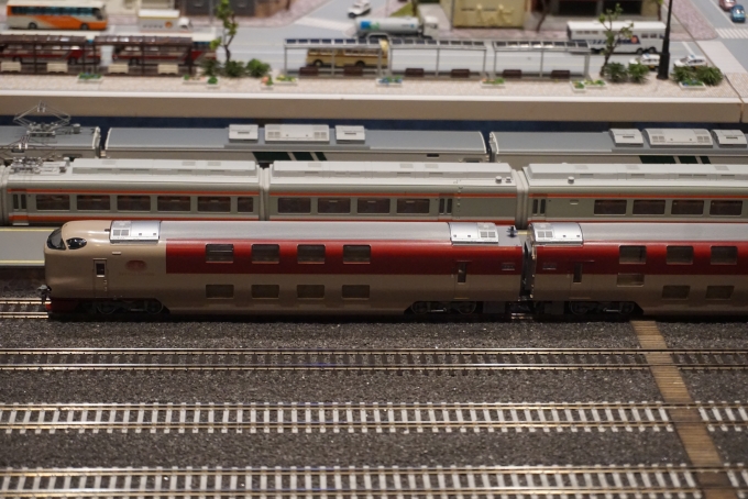 鉄道乗車記録の写真:旅の思い出(23)        「サンライズの模型」