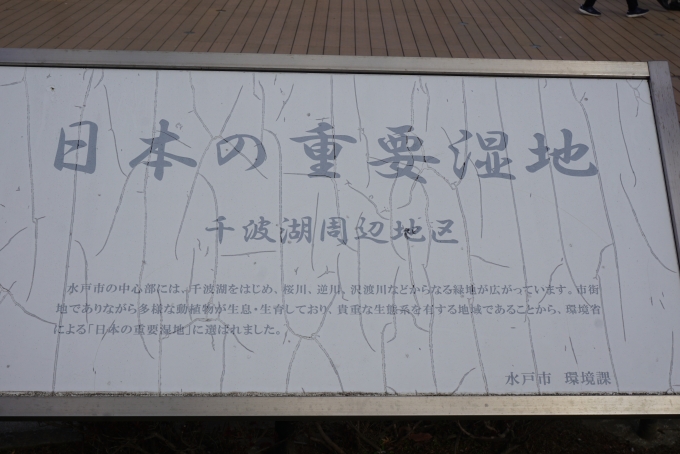 鉄道乗車記録の写真:旅の思い出(7)        「千波湖周辺地区」