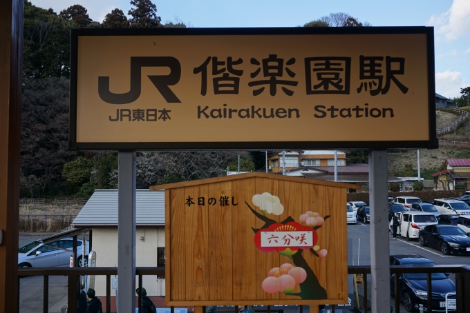 鉄道乗車記録の写真:駅舎・駅施設、様子(21)        「偕楽園駅、六分咲」