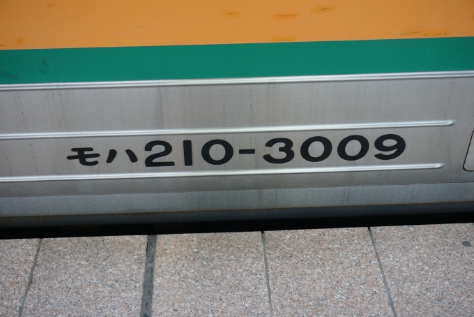 鉄道乗車記録の写真:車両銘板(2)        「JR東日本 モハ210-3009」