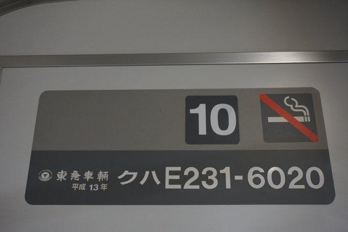 鉄道乗車記録の写真:車両銘板(2)        「JR東日本 クハE231-6020」