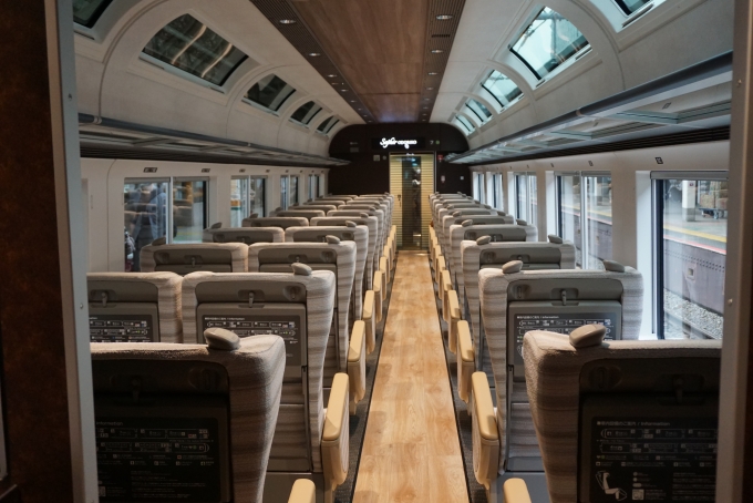 鉄道乗車記録の写真:車内設備、様子(9)        「JR東日本 モロE261-201の車内」