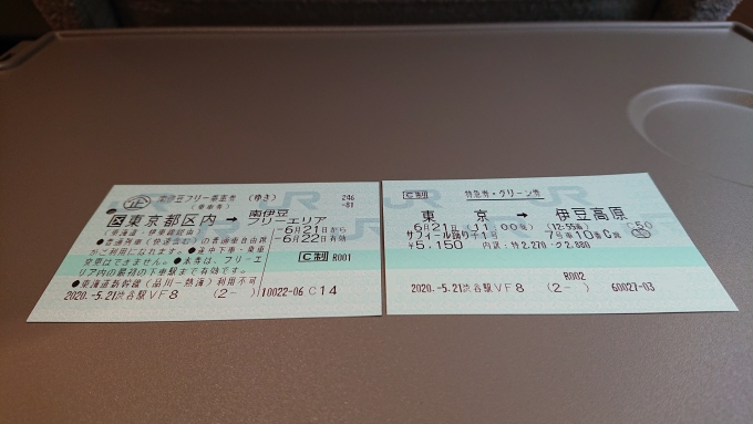 鉄道乗車記録の写真:きっぷ(12)        「南伊豆フリー乗車券ゆきと特急券」