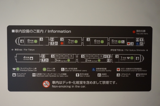 鉄道乗車記録の写真:車内設備、様子(14)        「JR東日本 モロE261-201の車内設備の案内」