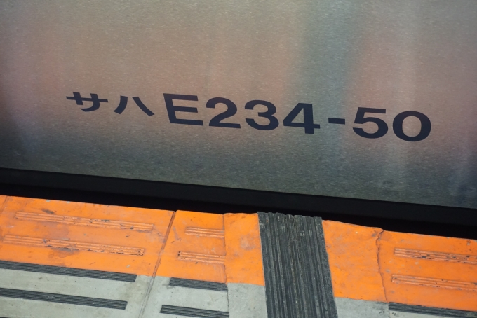 鉄道乗車記録の写真:車両銘板(2)        「JR東日本 サハE234-50」