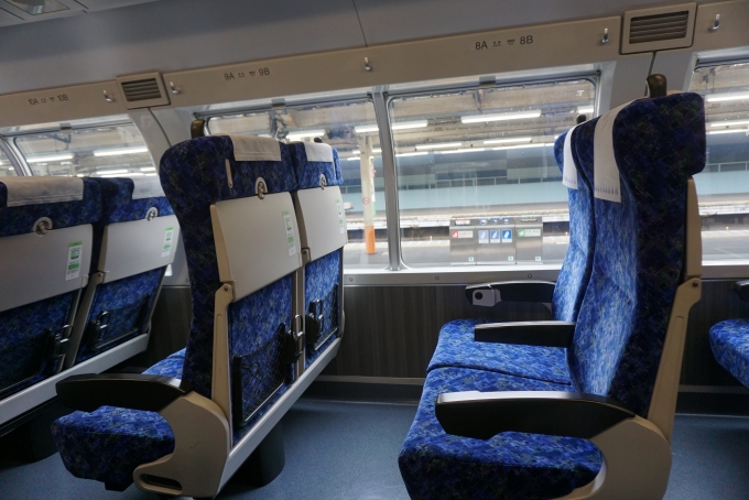 鉄道乗車記録の写真:車内設備、様子(8)        「グリーン車の座席」